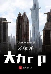 嘿王爷成了我夫婿