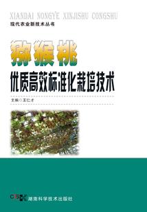 幻想镇
