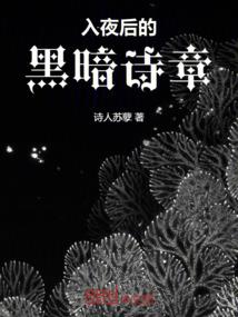 无极战纪：圣域