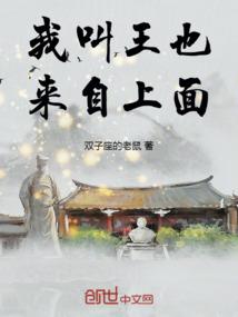 一个厨师的冒险