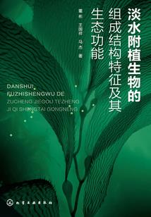管理宇宙的人