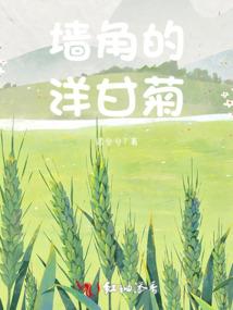 星之一代