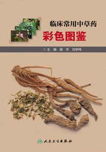 都市功德录