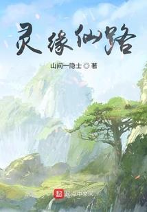 沈先生与猫小姐