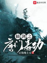 寻道情