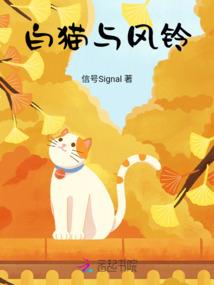 白熙的二次元之旅