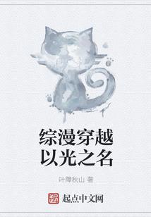 系统交易者