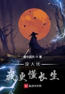宠物小精灵之梦之轨迹