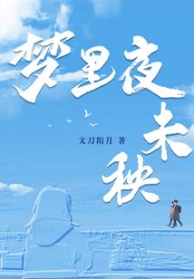 丁宝的路