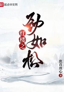 侠盗神偷
