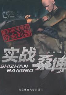 王者荣耀之惊世枭雄