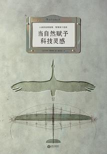 炽鳳倾华