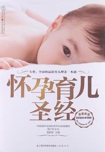 魂纹宗师