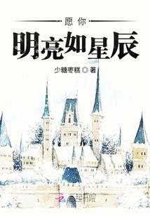 王牌保镖(合作)