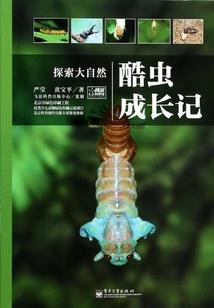 盗墓随说