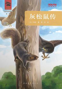 狼老大的失忆女友
