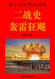 复仇成妻记