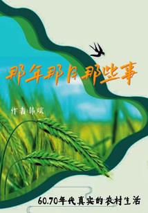 零鹰展翅