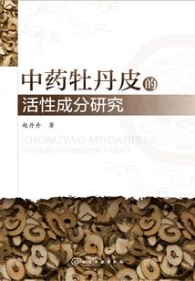 清风微拂温柔处