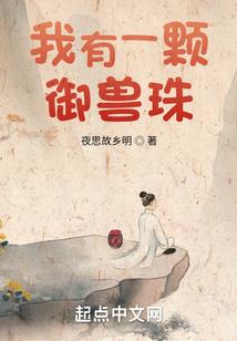 总裁的小宠妃
