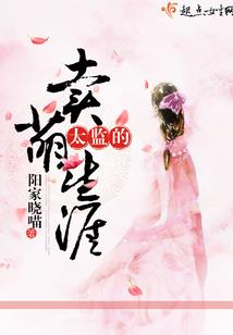 玄清圣皇录