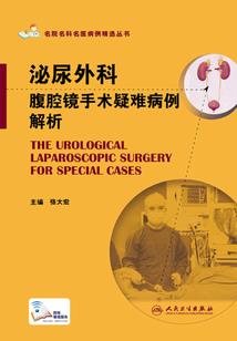 称皇为帝