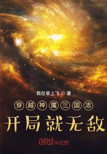 王的回眸
