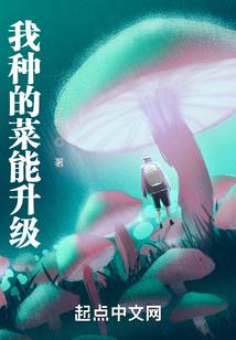 奥特兰大陆之帝王传奇
