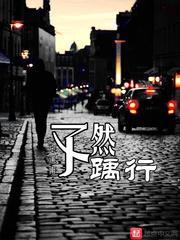 武破天域