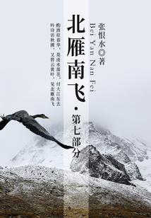 天魁奇侠