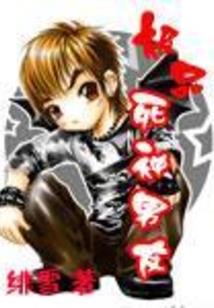 神奇宝贝之火龙传