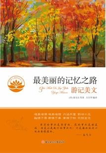 网游天龙之陌染红尘
