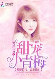 海贼之因陀罗