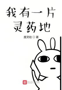 爱的发烧友