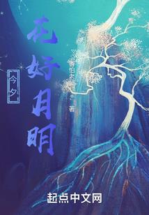 星月华尔兹