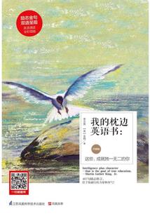 许安然的恋爱日记