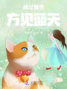 三国无双之姜维传