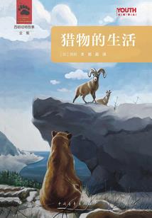 妖冶的跳舞兰
