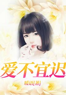 魔法少女同人之灵魂终结者